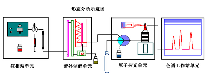 金索坤動態(tài)-液相色譜原子熒光聯(lián)用示意圖