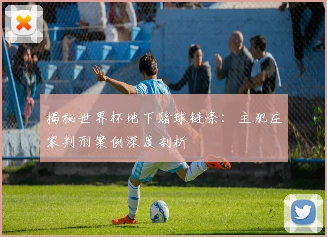 揭秘世界杯地下赌球链条：主犯庄家判刑案例深度剖析